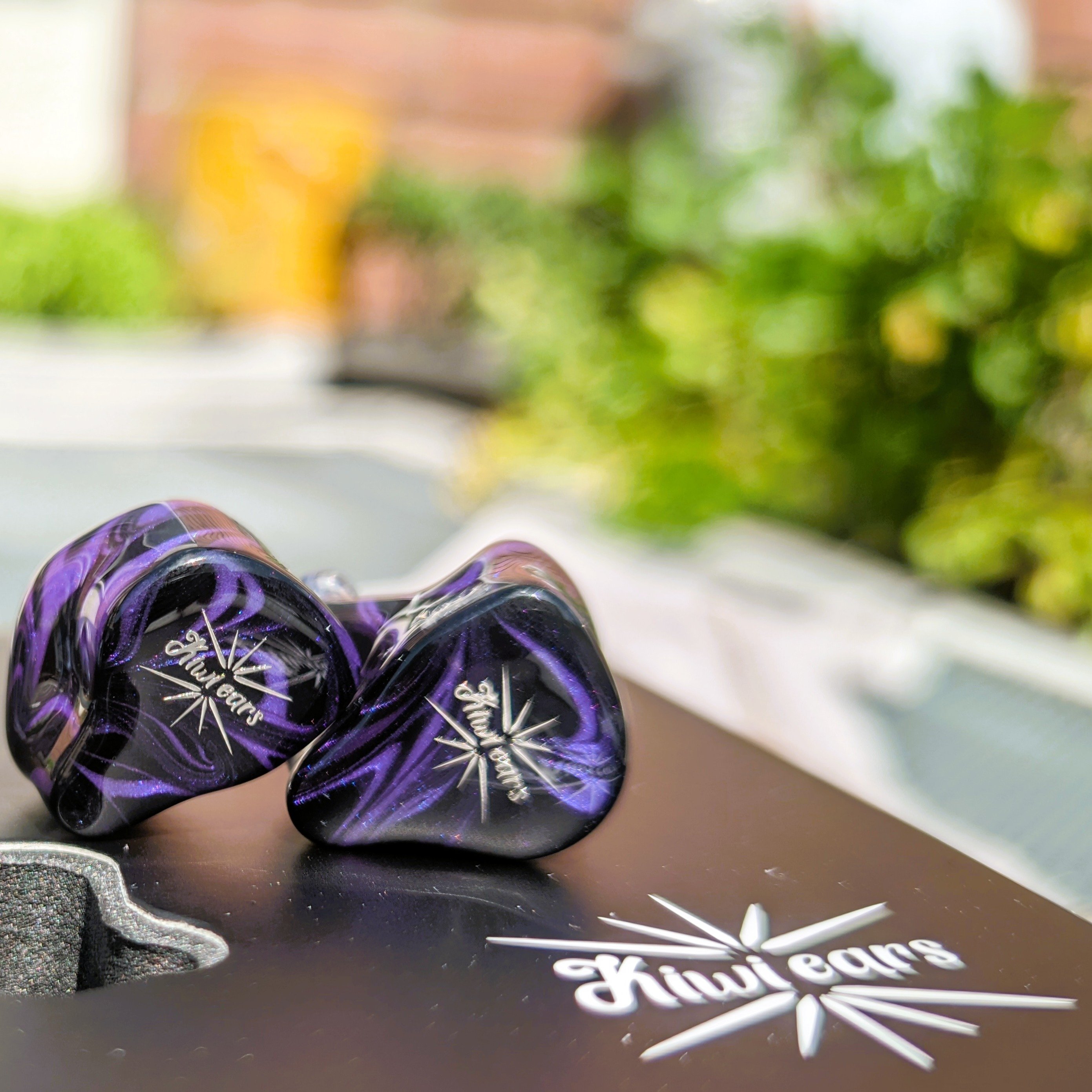 Flying Kiwis – February 5 — The Niche Cache, image size:2782x2782