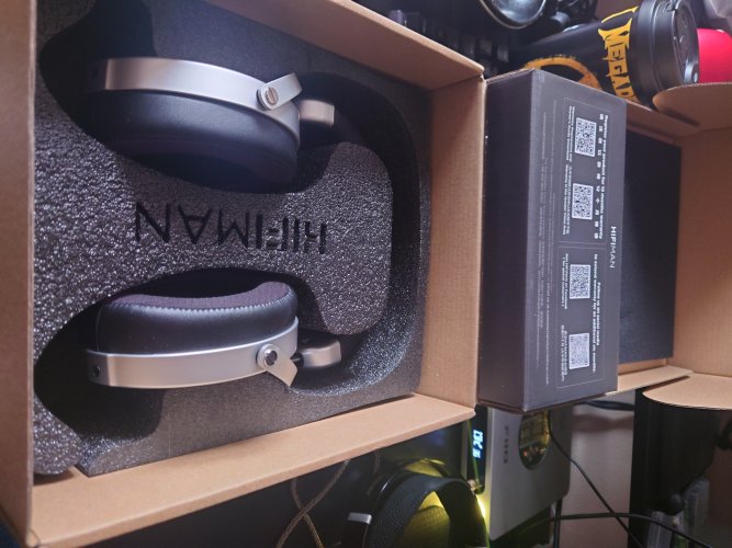 DEVA Pro with Bluemini R2R--Combining the Best of the HIFIMAN