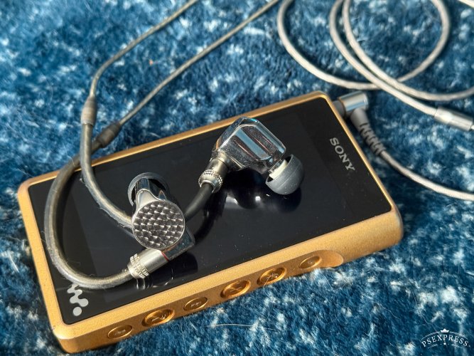 SONY IER-Z1R | Page 910 | Headphone Reviews and Discussion - Head