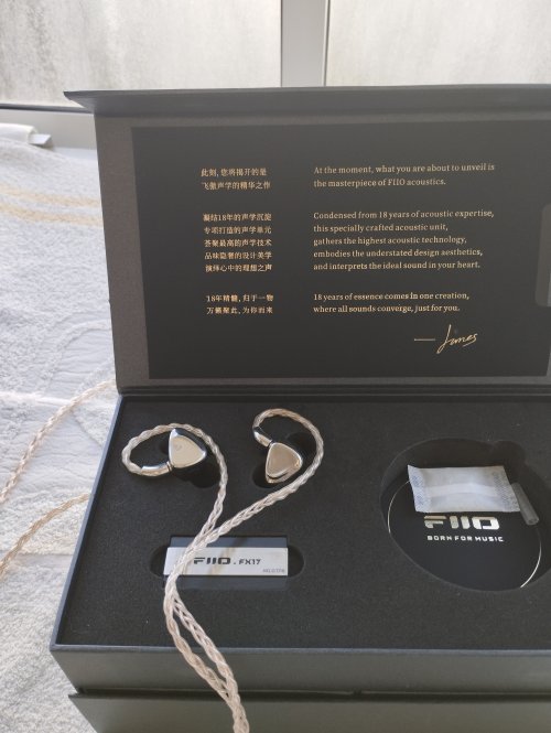 Fiio FX17 Used Price | HifiZero