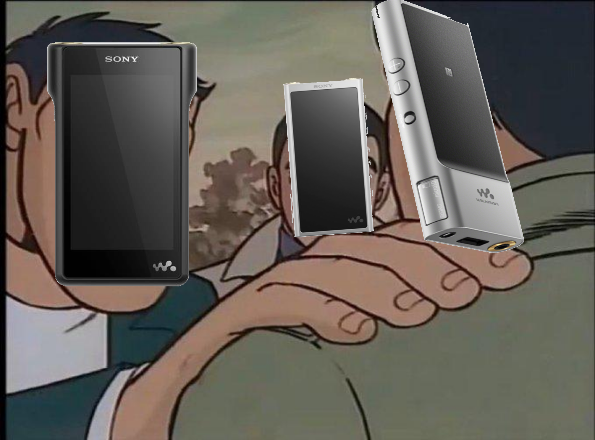 Sony NW-ZX300 | Headphone Reviews and Discussion - Head-Fi.org