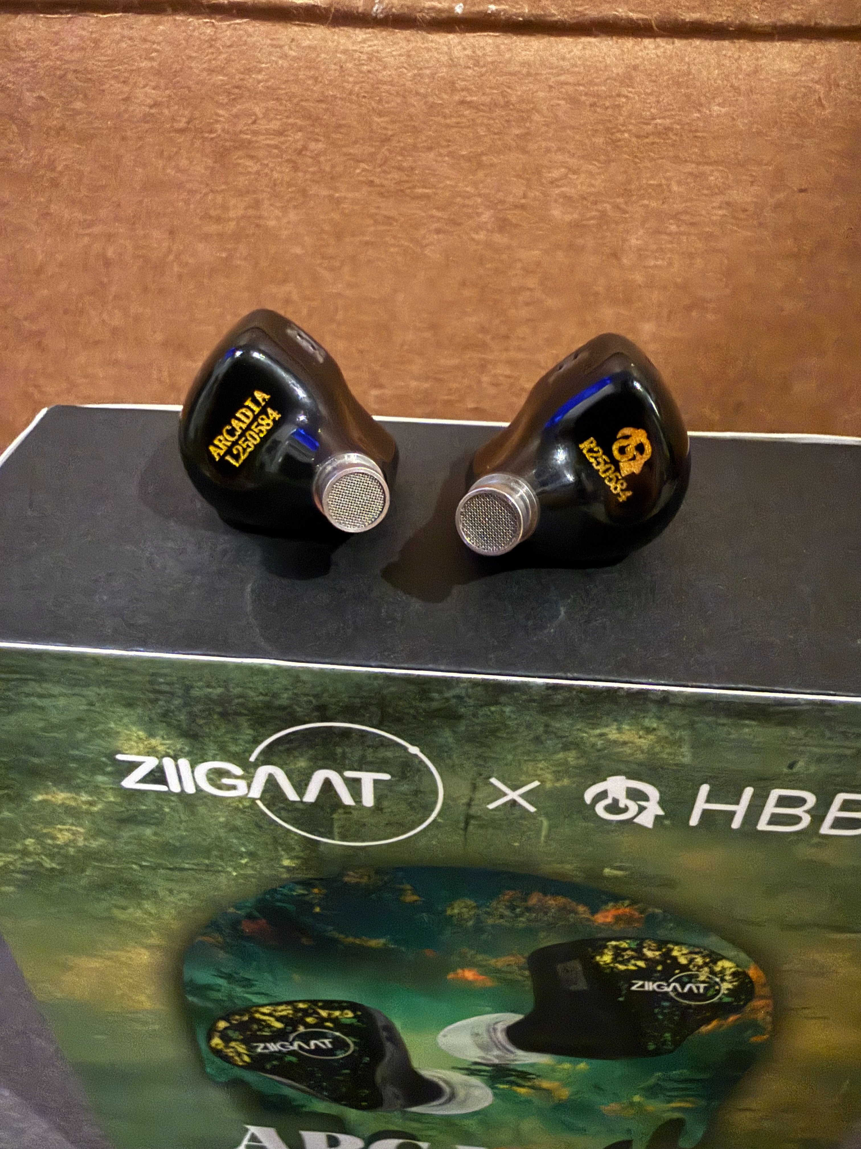 Deduce X Hbb Closed: ZiiGaat x HBB Arcadia IEMs 1DD + 2BA w/ Fifty Strings Upgrade ...