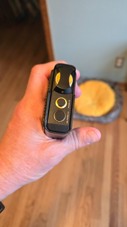 lotoo paw gold 二手價格| HifiZero