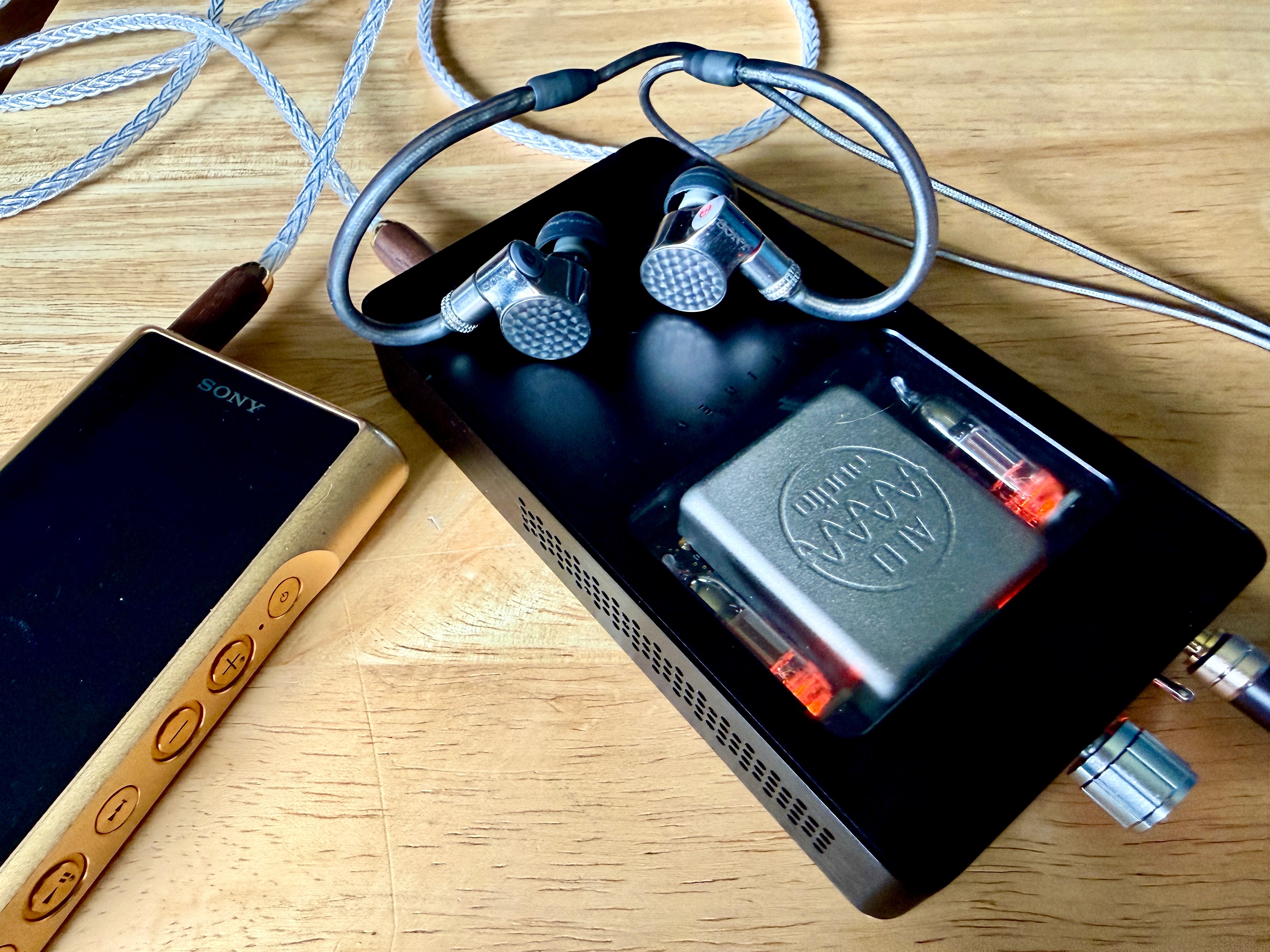 SONY IER-Z1R | Page 910 | Headphone Reviews and Discussion - Head