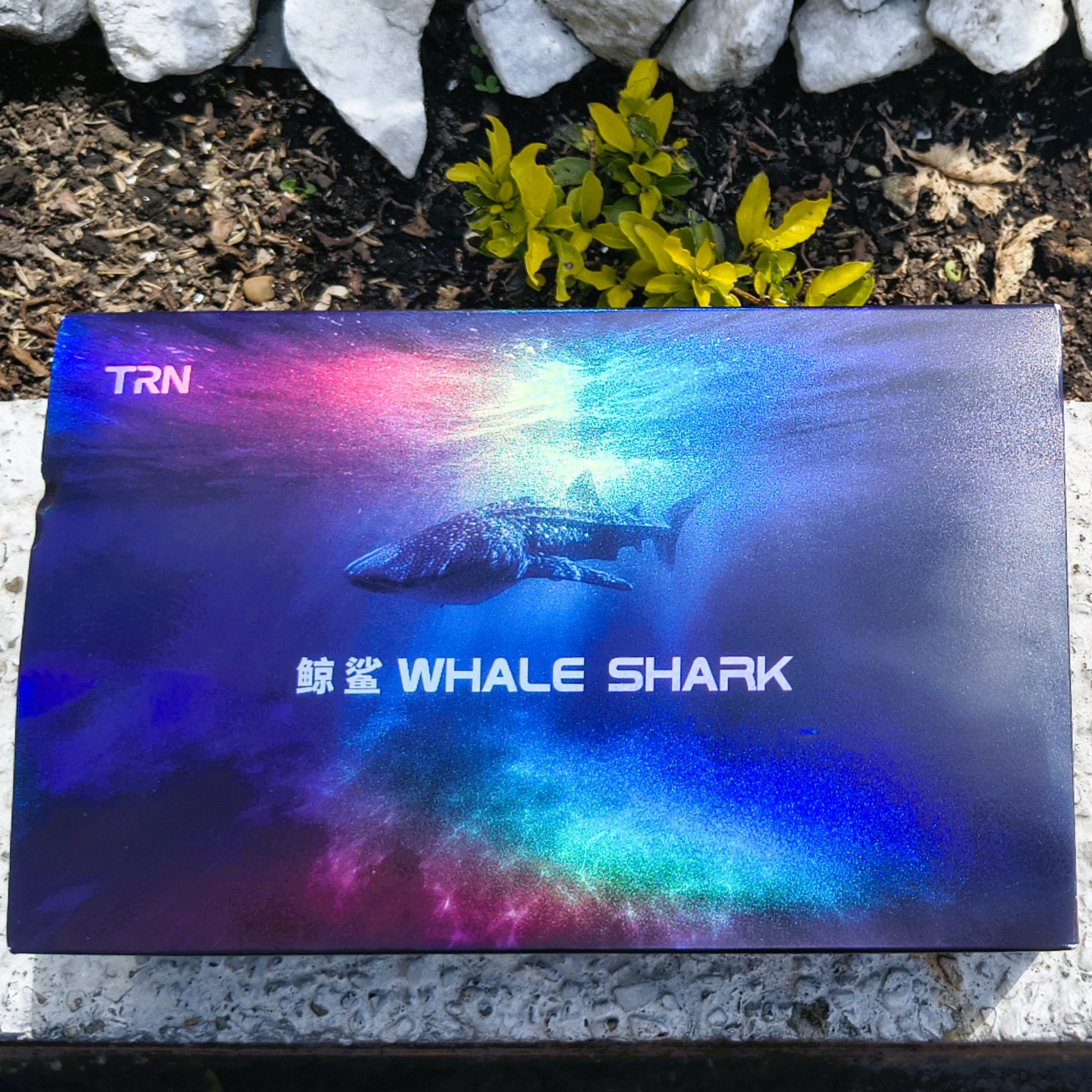 TRN Whale Shark | Headphone Reviews and Discussion - Head-Fi.org