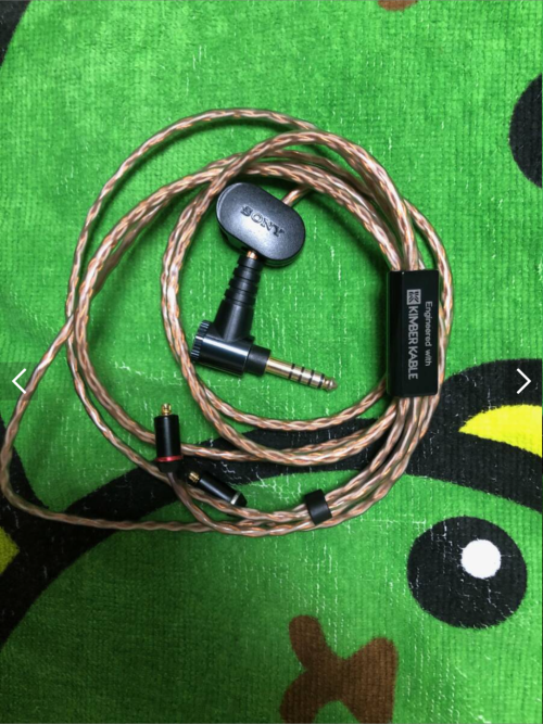 SONY IER-Z1R | Page 910 | Headphone Reviews and Discussion - Head