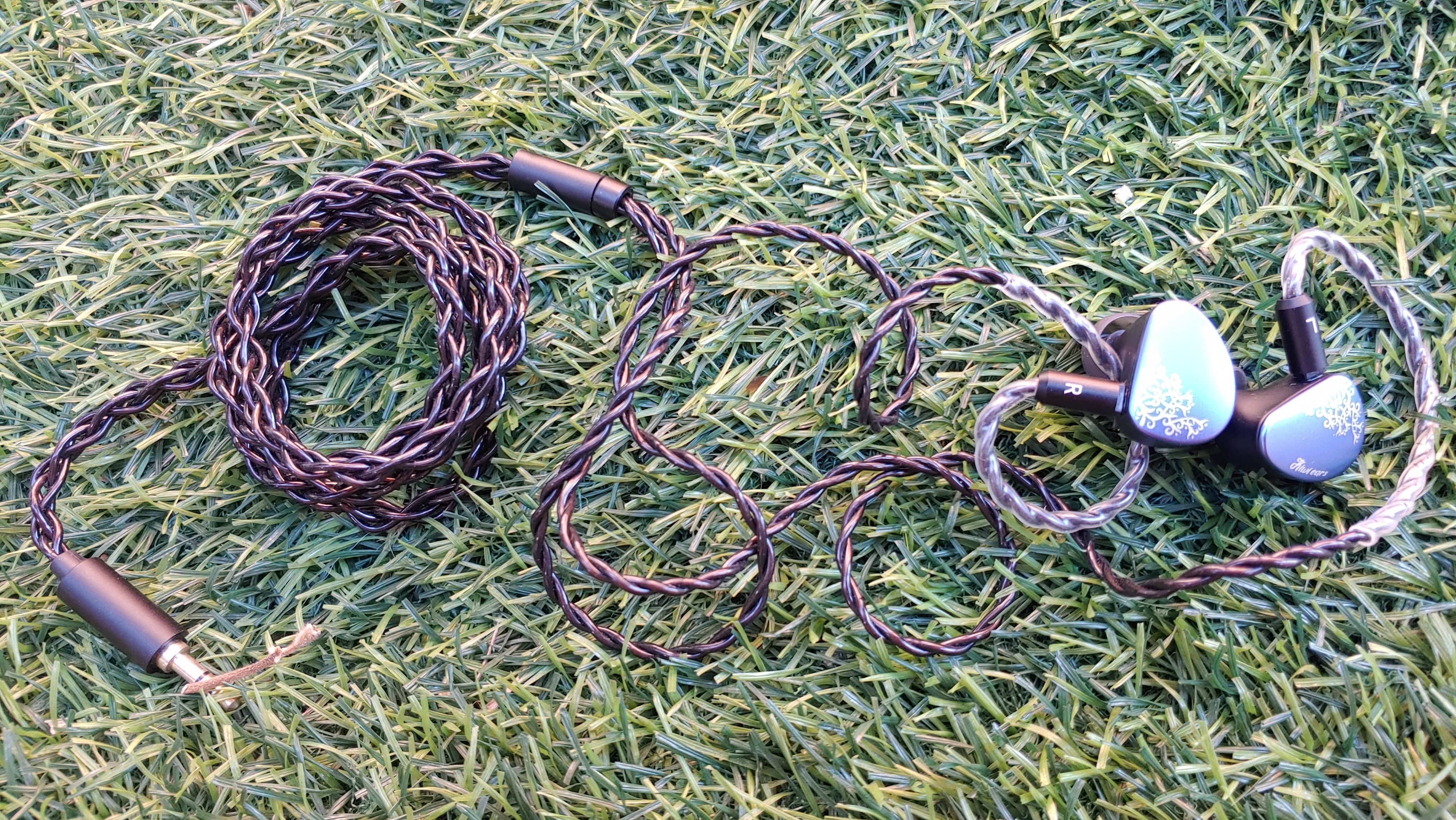 20260509_174546.jpg