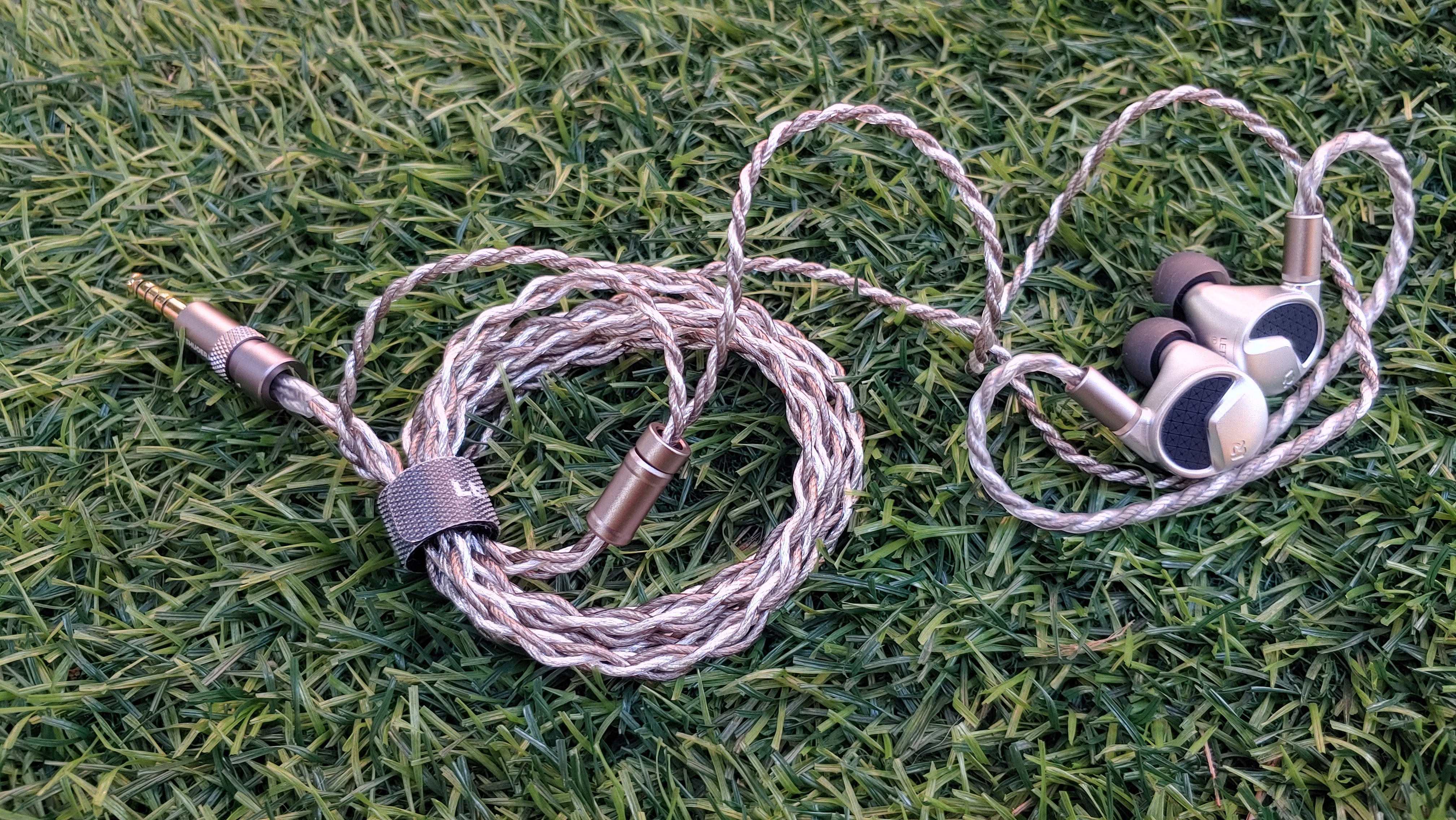 20260511_180209_HDR.jpg