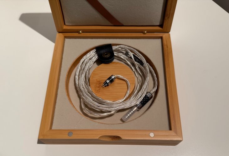 rhapsodio Used Price | HifiZero