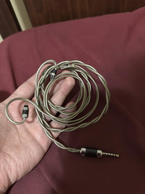 rhapsodio Used Price | HifiZero