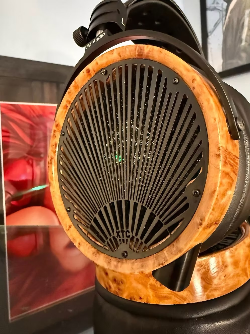 JM Audio XTC2™ Burl and Zebra Megaverse Reference Open Back