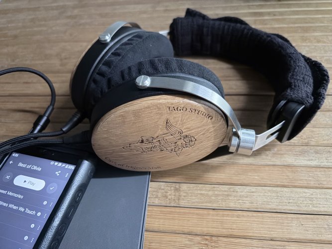 Review Tago Studio T3-01 | Headphone Reviews and Discussion - Head
