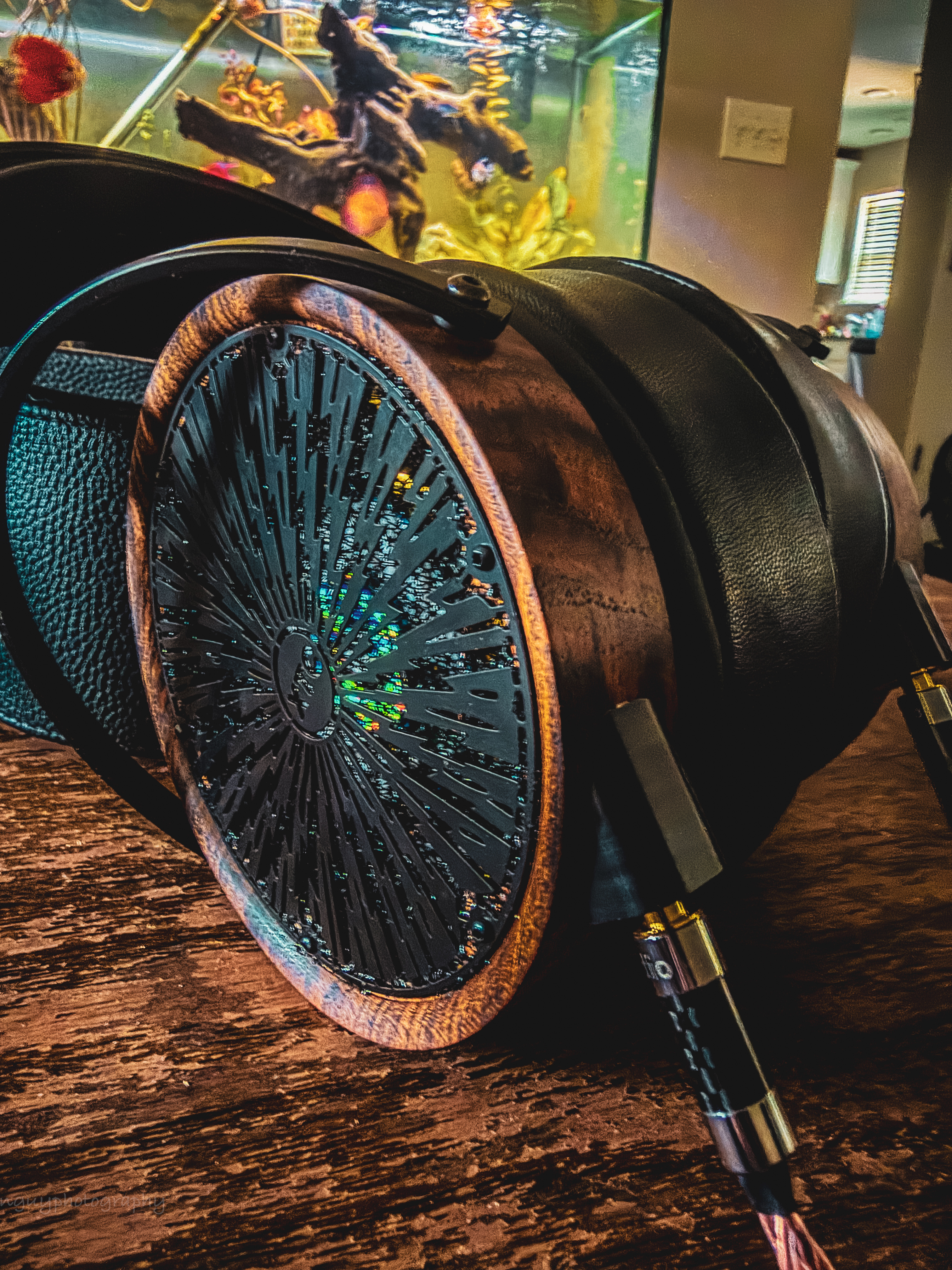 JM Audio XTC2™ Burl and Zebra Megaverse Reference Open Back