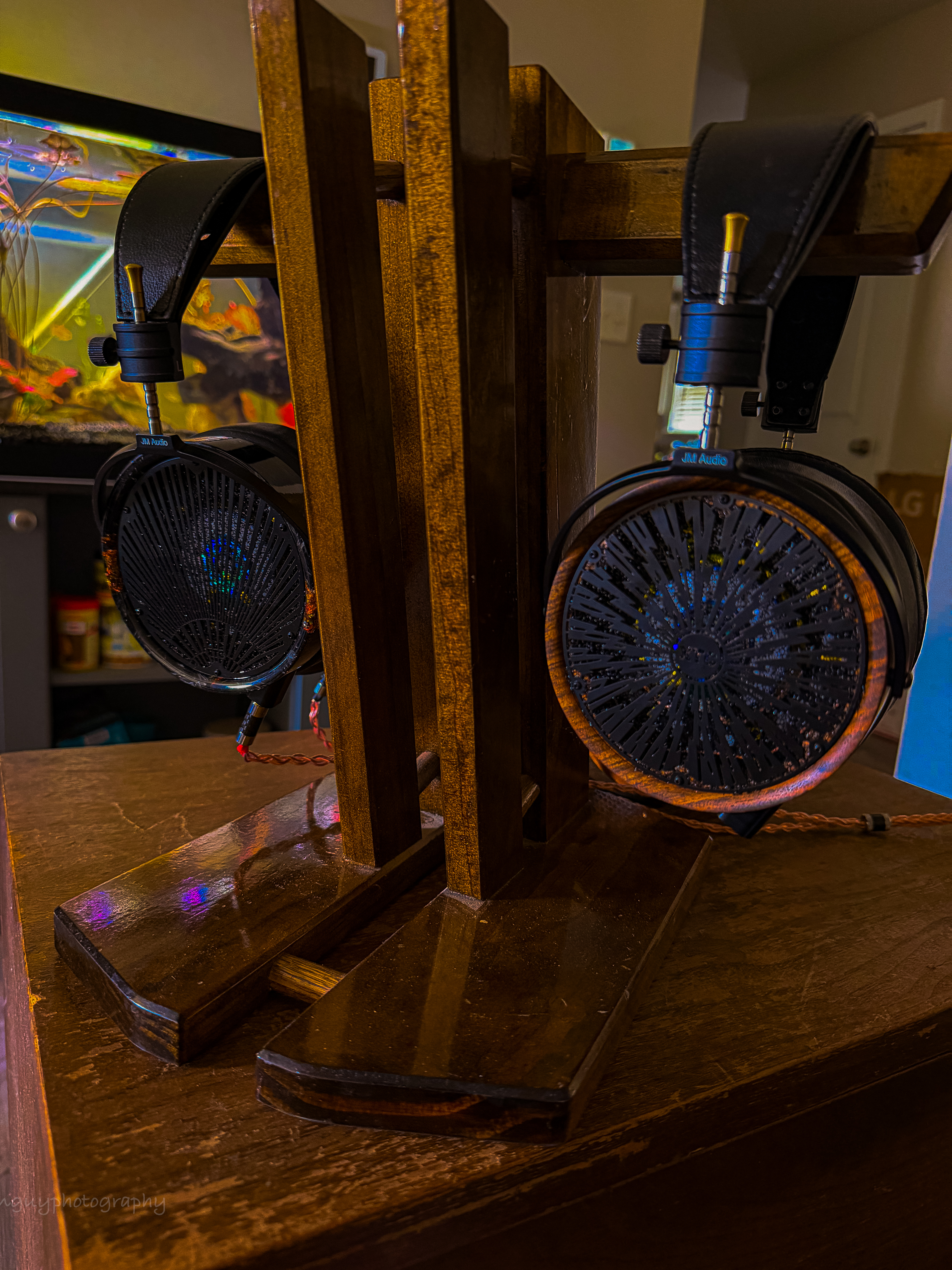 JM Audio XTC2™ Burl and Zebra Megaverse Reference Open Back