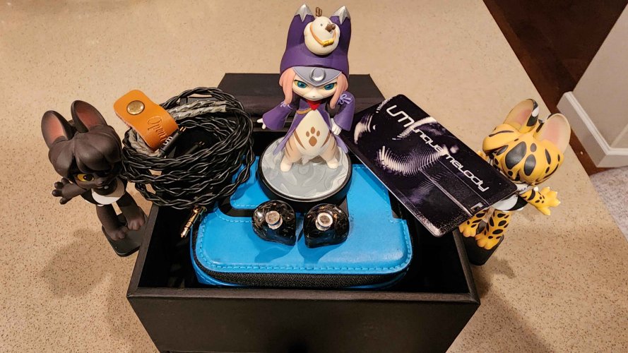 unique melody Used Price | HifiZero