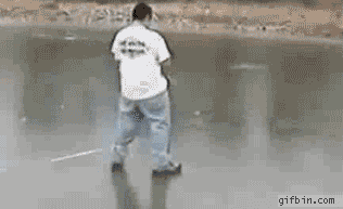 2967044.gif