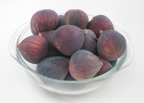 figs2.jpg