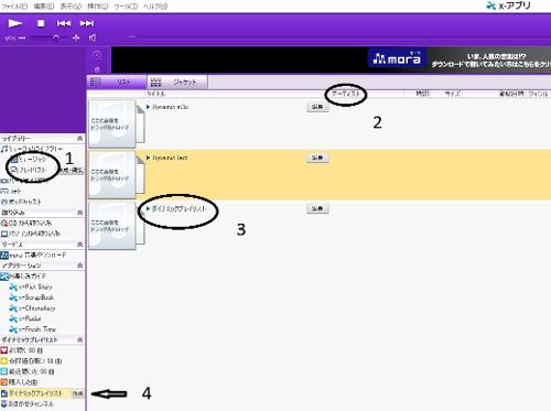 Sony Walkman Japanese Versions Help For Dummies Thread Page 4 Headphone Reviews And Discussion Head Fi Org
