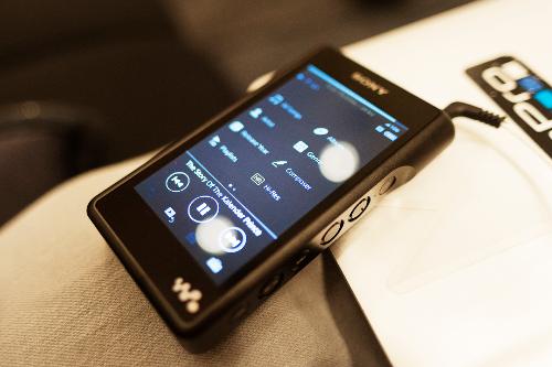 _D701807.jpg