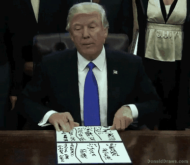 DonaldDraws1486430005640.gif