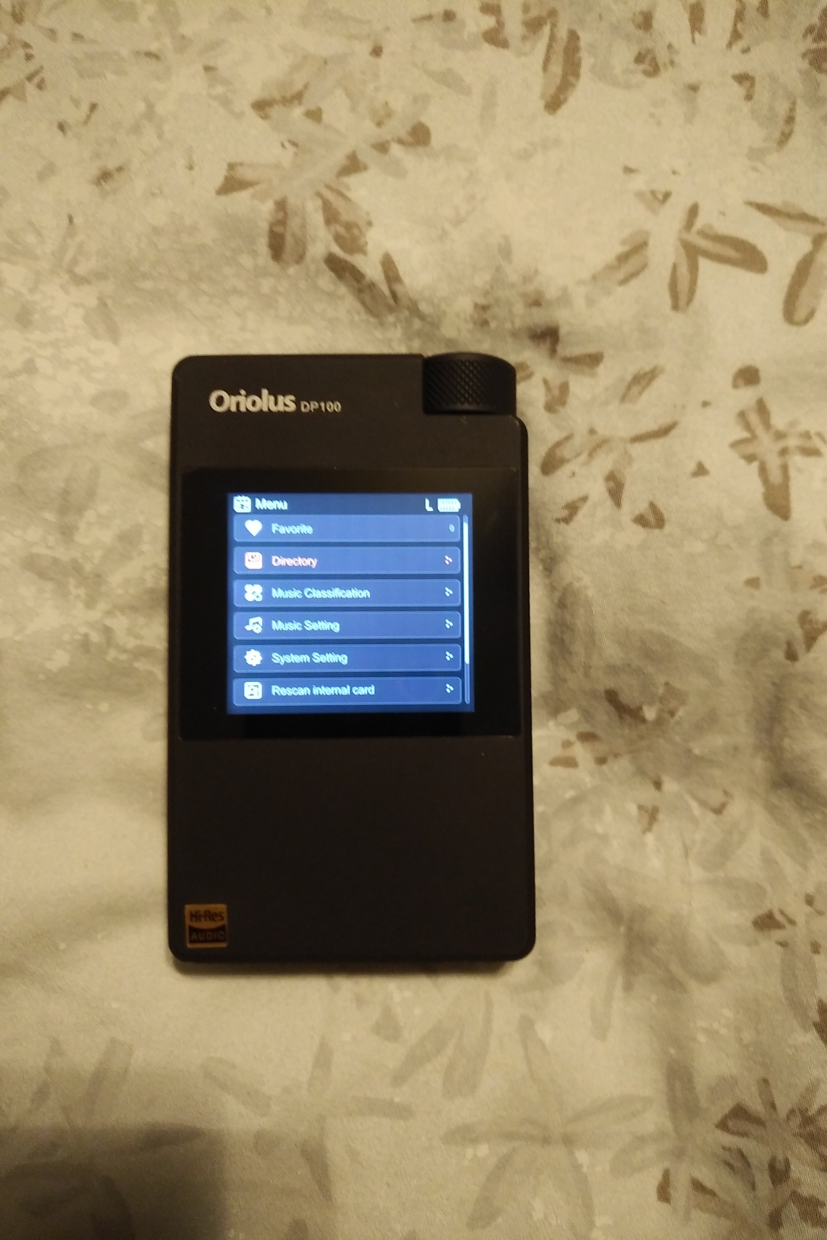 Oriolus DP100 (UPDATED WITH PICS) | Headphone Reviews and Discussion ...