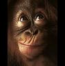 biver
