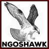 ngoshawk