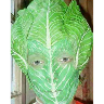 MrGreen